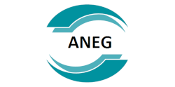Компания Aneg Компания Aneg